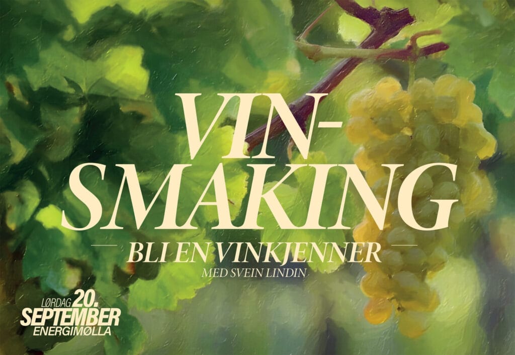 Vinsmaking – bli en vinkjenner